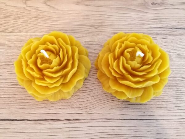 Bienenwachs Kerze gegossen in Rosen Form ( Unsere Kerzen brennen, selbst getestet )