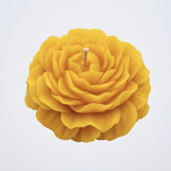 Bienenwachs Kerze gegossen in Rosen Form ( Unsere Kerzen brennen, selbst getestet )