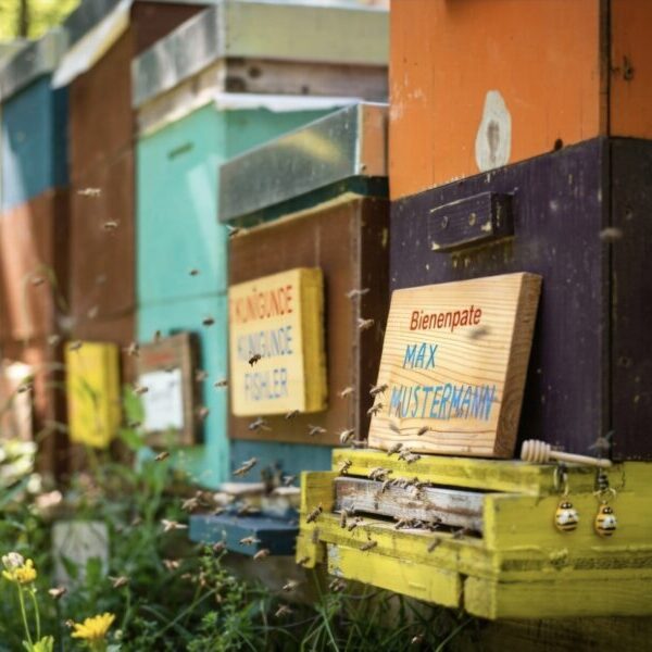 Bienenpatenschaft Honigliebhaber